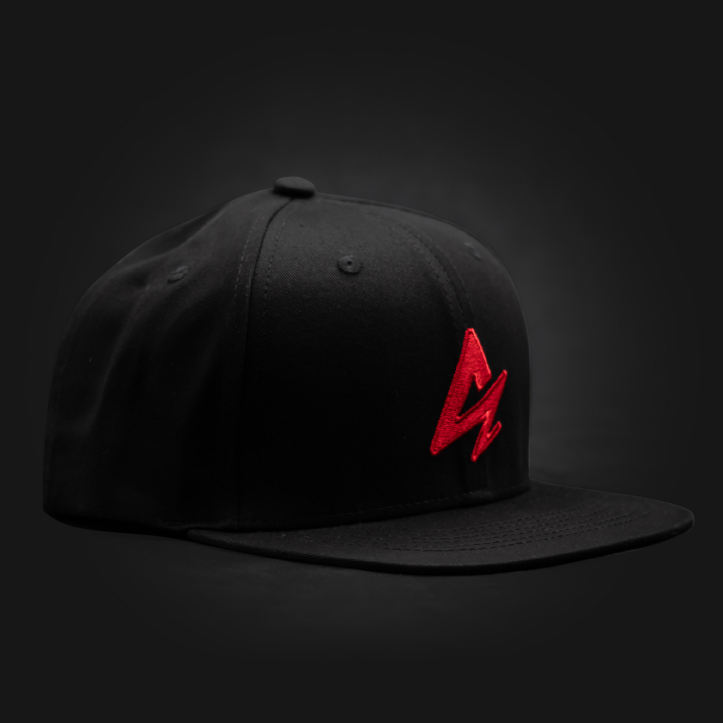 Acelith snapback cap